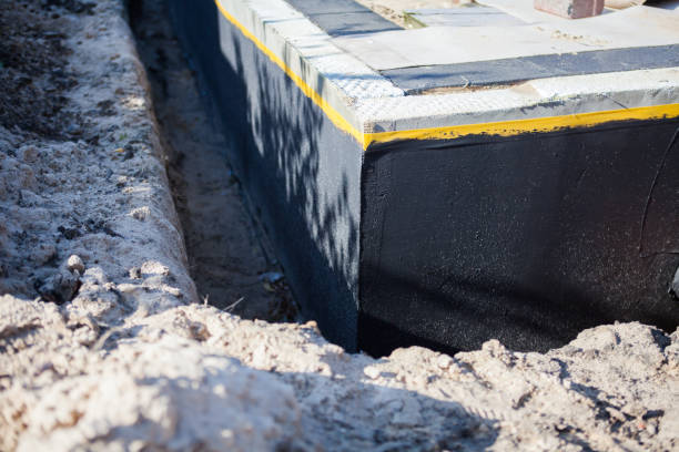 Professional Wet Basement Repair technician working in Royal Oak, MI