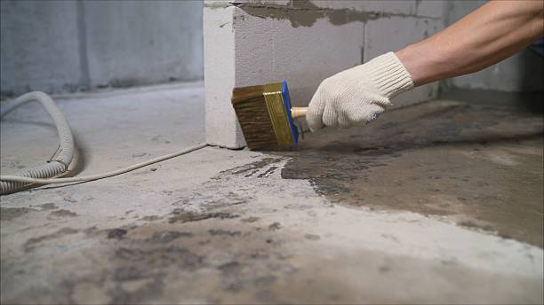24/7 Emergency Wet Basement Repair experts in Royal Oak, MI